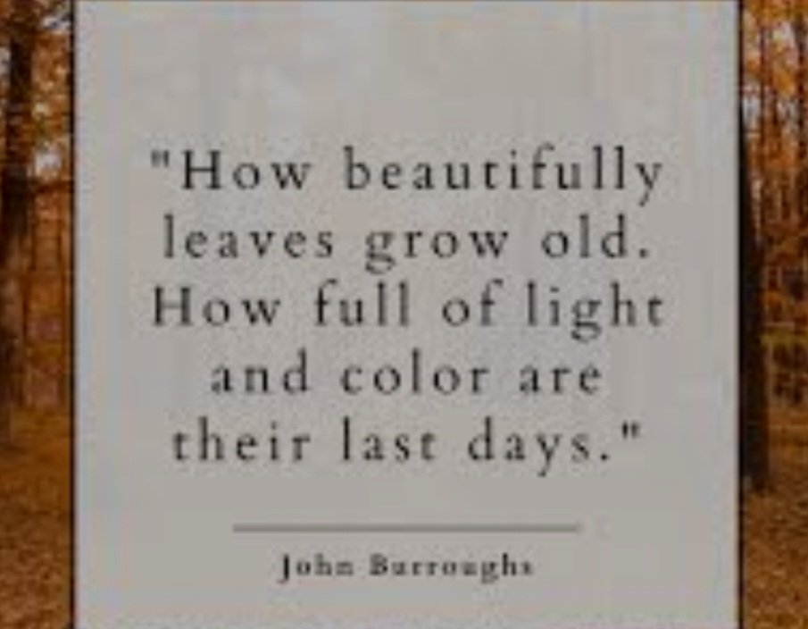 sunny_joni's tweet photo. #JohnBurroughs 🤎❤🧡💛 https://t.co/MacRsp6uWK