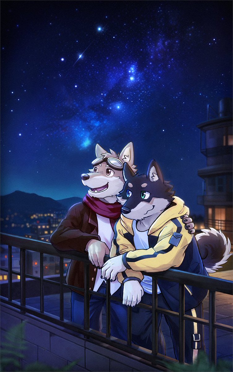 星犬 tweet media