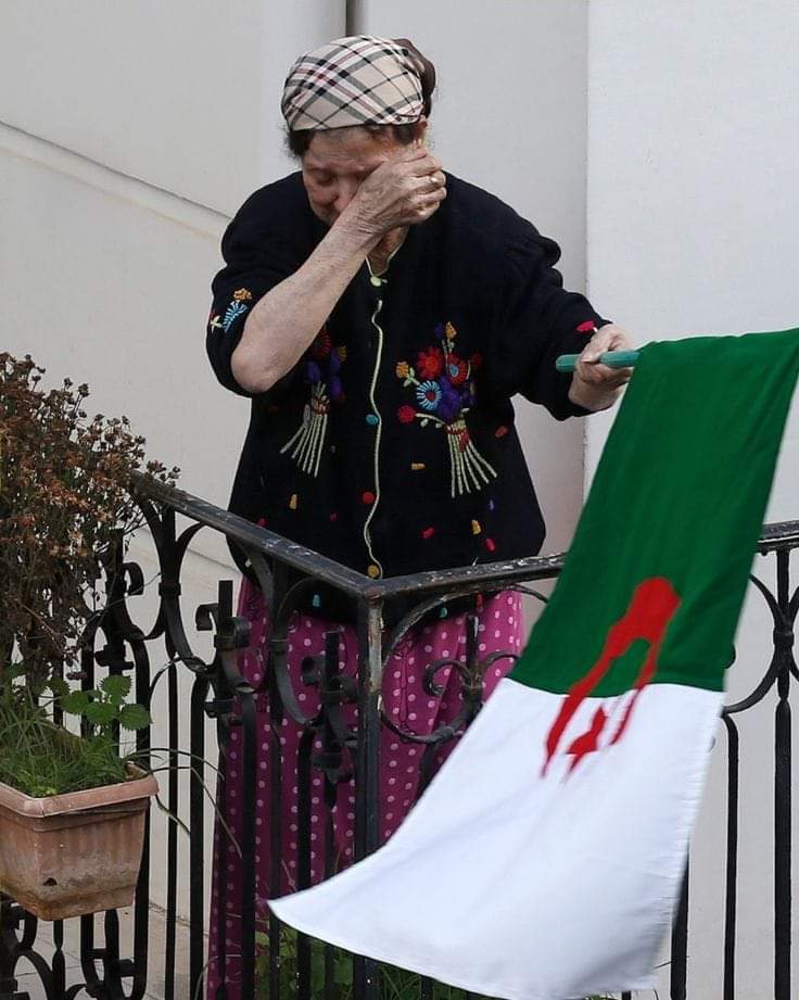 Bonoise23Dz's tweet photo. نفتخر بتاريخنا  نفتخر بماضينا نفتخر بحاضرنا نفتخر بمستقبلنا ولا عزاء لمن لا تاريخ له ولا ماضي ولا حاضر  له .

تحيا الجزائر 🇩🇿 https://t.co/YK3hCoJiIF