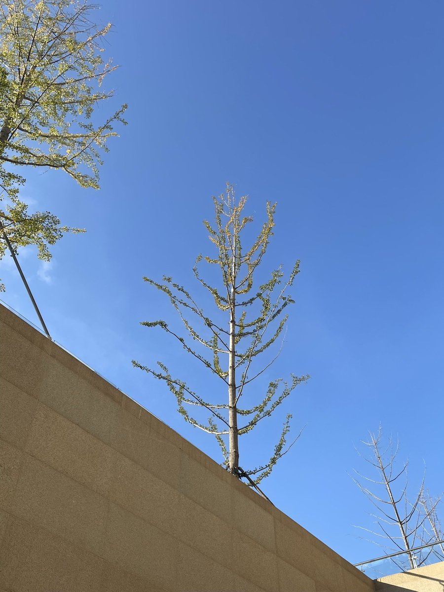 Blue- (@addyker) on Twitter photo 