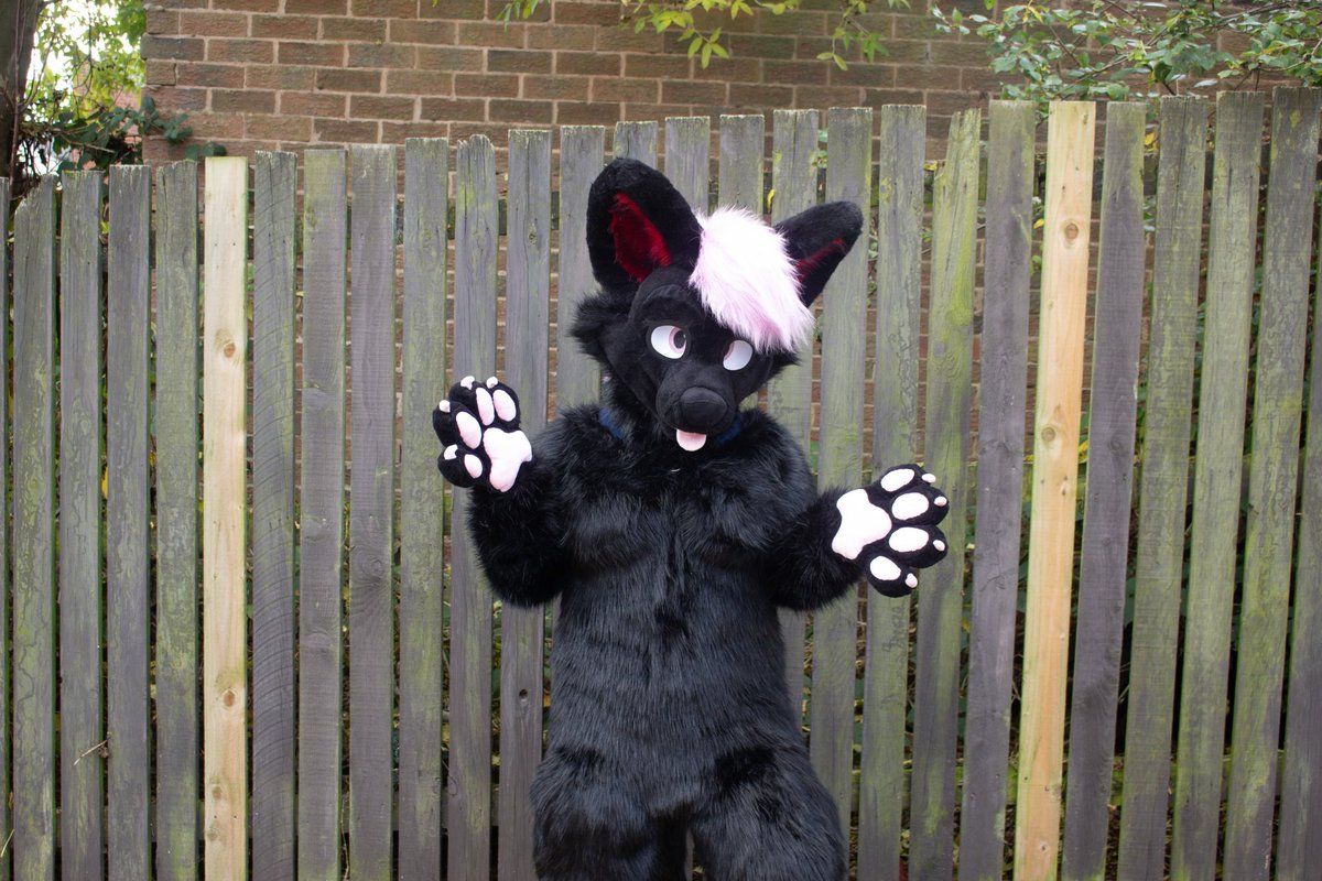 Well first fursuit friday with my new suit #fursuitfriday #furry #fullsuiter
