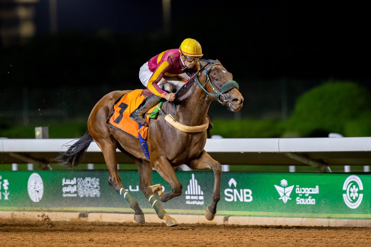 البادوك | IPADDOX tweet media