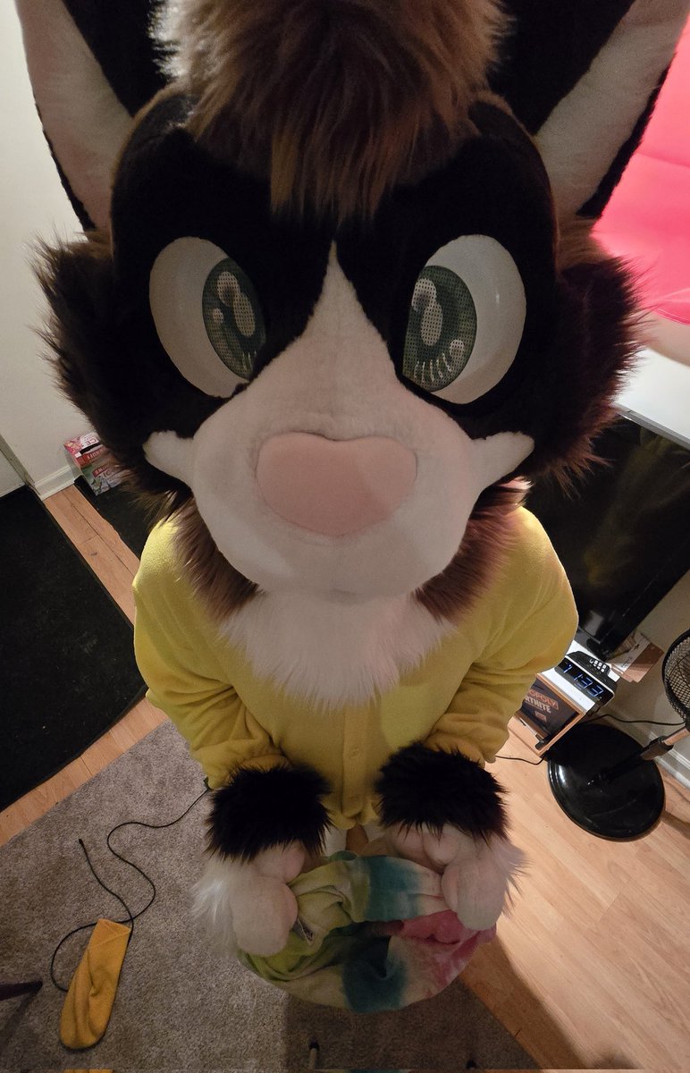 Toast 🐾 (@locallibrarycat) on Twitter photo Trick or treat! One beer please!! (Am I doing this right?)
Happy belated Halloween! 🎃 #fursuit #FursuitFriday
🧵 <a href="/TheKneadery/">✨ thekneadery.bsky.com ✨</a> Trick or treat! One beer please!! (Am I doing this right?)
Happy belated Halloween! 🎃 #fursuit #FursuitFriday
🧵 <a href="/TheKneadery/">✨ thekneadery.bsky.com ✨</a>