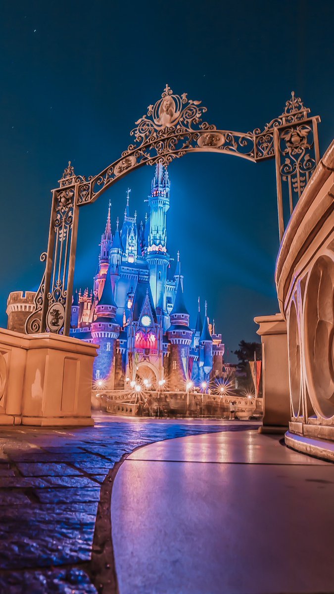 ⋆⸜ remi ⸝⋆ tweet media