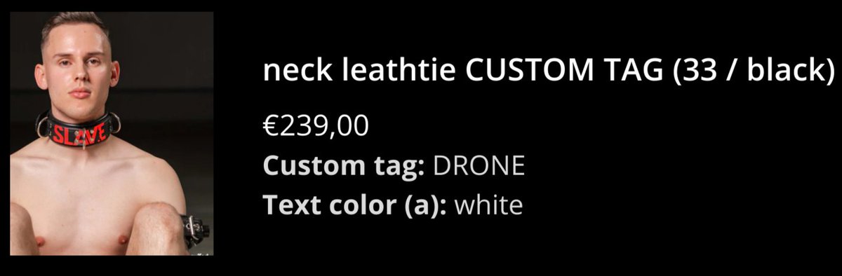 Shall I open commissions with a 250€ total stretch goal to allow myself to get a cuffed leather collar with "DRONE" printed on it?