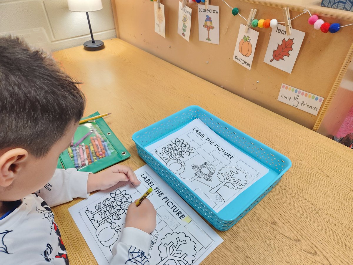 MrsSweeney-SESCoaching tweet media