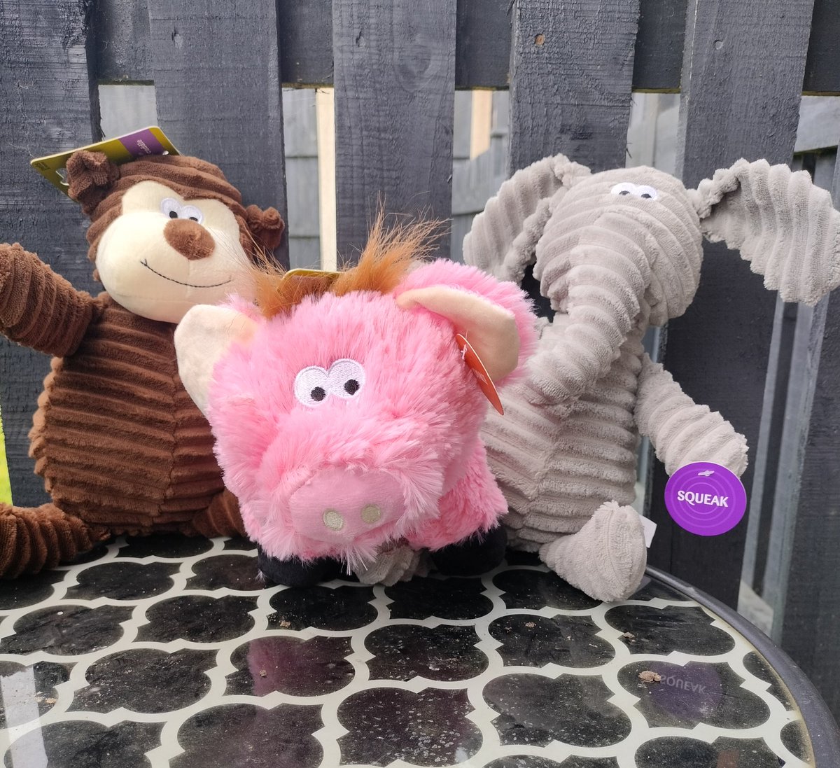 East Mids Fire Dog (@midsdog) on Twitter photo Special surprises for Ginny today. Following a trip to <a href="/PetsatHome/">Pets at Home</a> for a new collar, 3 new friends have joined the family Special surprises for Ginny today. Following a trip to <a href="/PetsatHome/">Pets at Home</a> for a new collar, 3 new friends have joined the family