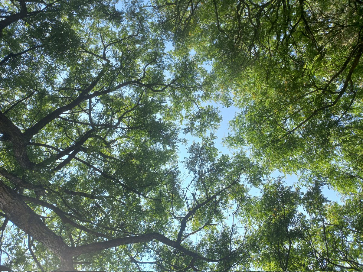 superjrunior's tweet photo. life lately https://t.co/9H4tIMqUiY