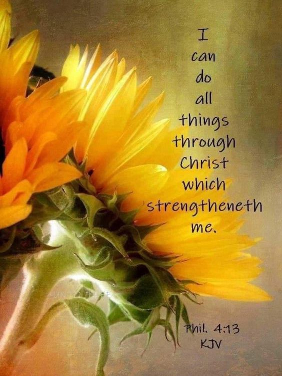 BeachcatTt's tweet photo. Happy Friday. I pray you have a blessed day. Remember you can do anything through Christ. https://t.co/KP9w4nucq6