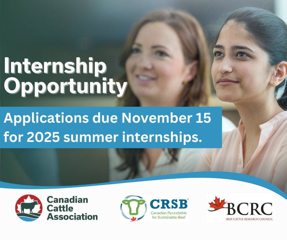 CanCattle's tweet photo. The Canadian Cattle Association, Canadian Roundtable for Sustainable Beef and Beef Cattle Research Council are each looking for a talented, self-motivated individual to participate in our 2025 summer intern program. These internship positions provide a unique opportunity for students passionate about the #CdnBeef industry. Application deadline is Friday, November 15. Click here to learn more and apply: https://t.co/TqSUDDznH8