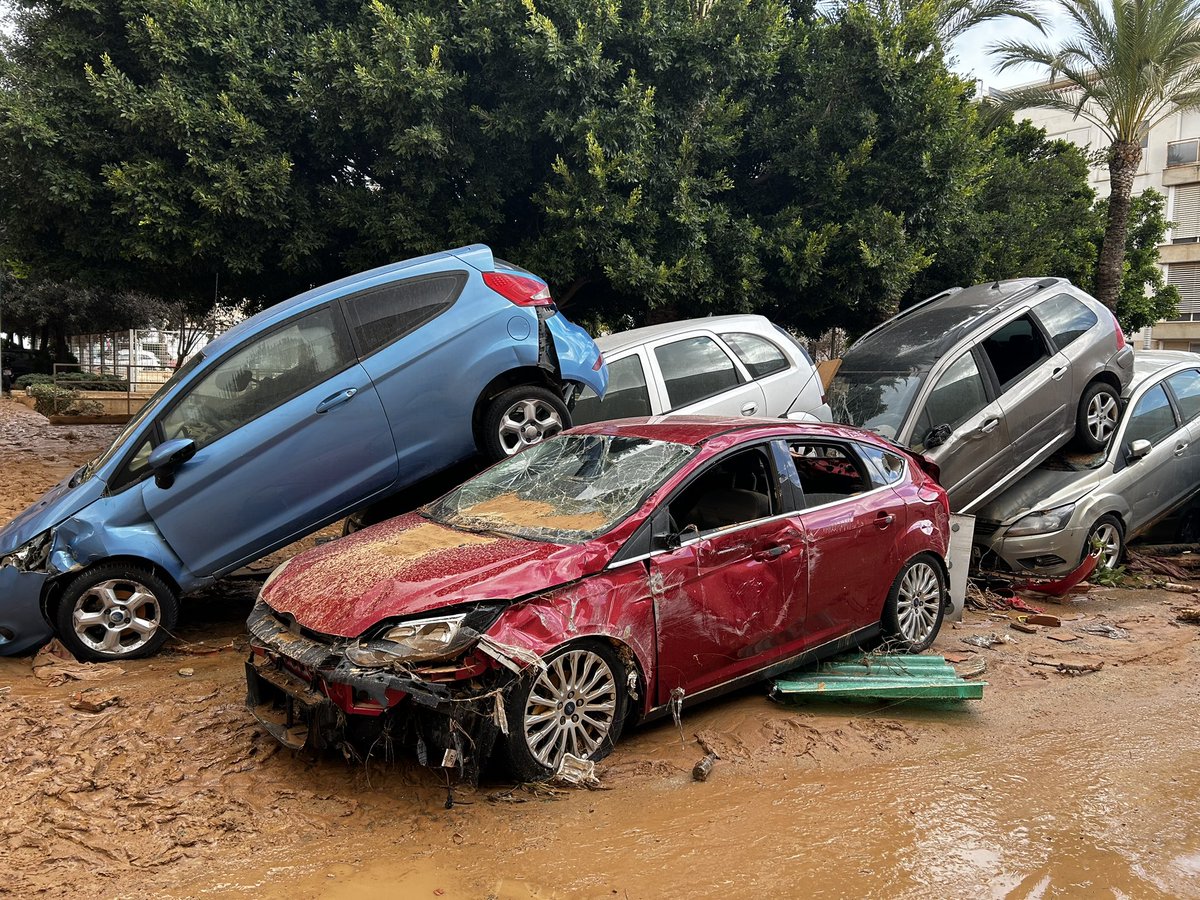 NEGA 🔻 🇵🇸 tweet media