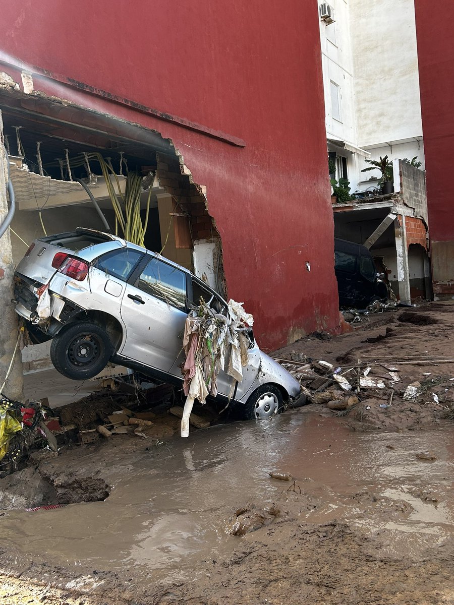 NEGA 🔻 🇵🇸 tweet media