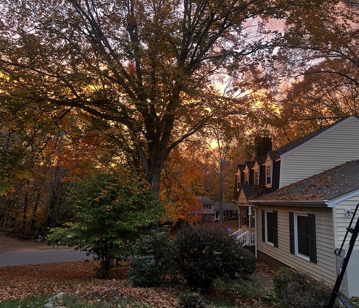 emmujc's tweet photo. O Lord, how manifold are your works! In wisdom you have made them all; the earth is full of your creatures." (Psalm 104:24)

#fallcolors #naturephotography #Godscreation #emmujphoto https://t.co/2kaxagqCkl