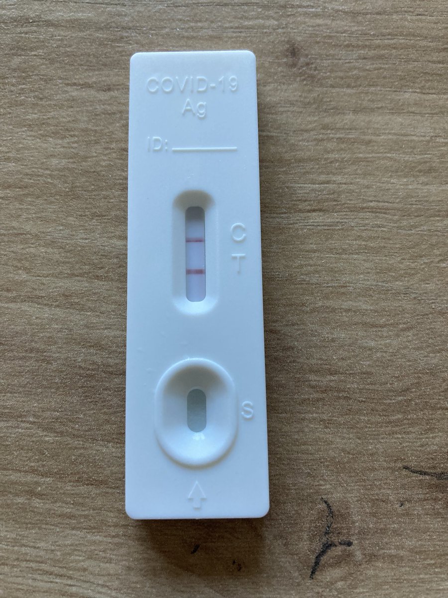 Sonja M. Lauterbach tweet media