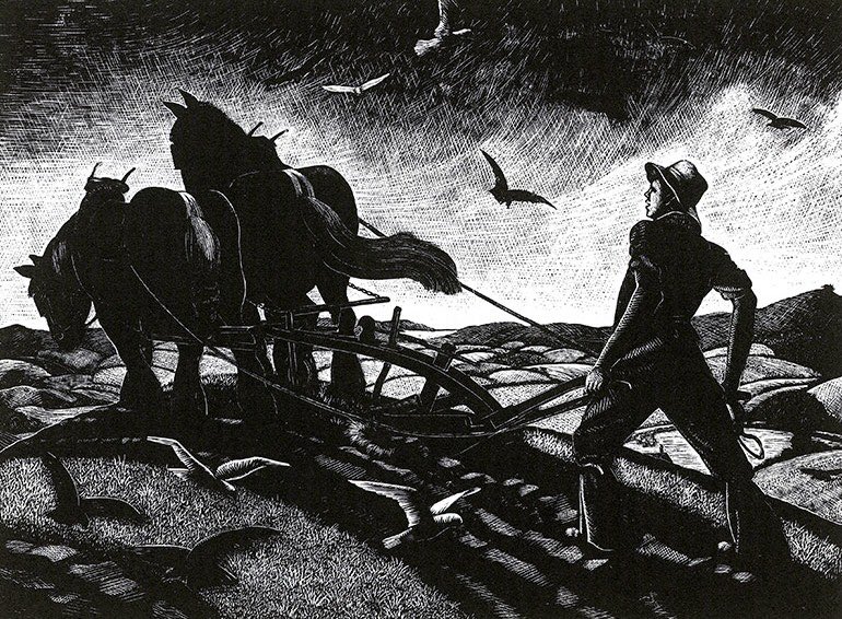 November Ploughing 1933 #ClareLeighton