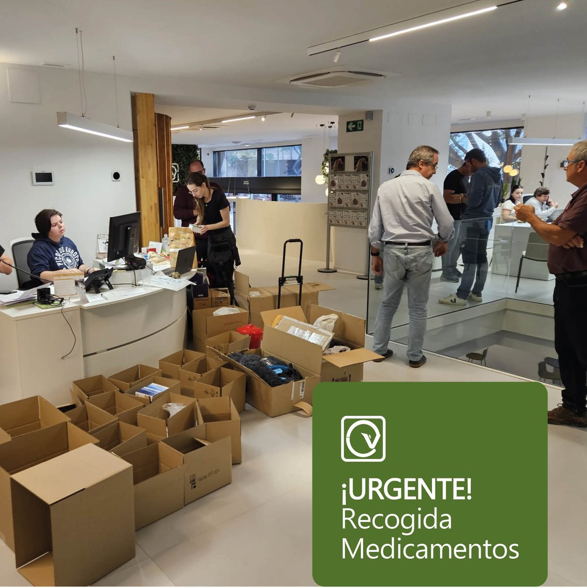 ICOVValencia's tweet photo. NECESITAMOS MEDICAMENTOS Y PIENSOS PARA ANIMALES AFECTADOS POR LA DANA 

Seguimos con la recogida de medicamentos y piensos en la sede del ICOVV  y estaremos también  este fin de semana:

Sábado y domingo de 9:00h a 17:00h
C/Guillem de Castro nº8 (Valencia)

¡Gracias a todos! https://t.co/rOqhLN4TgI