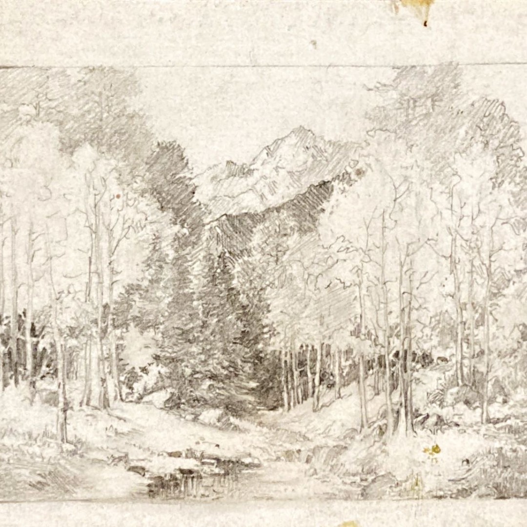 BoulderPublicLibrary tweet media