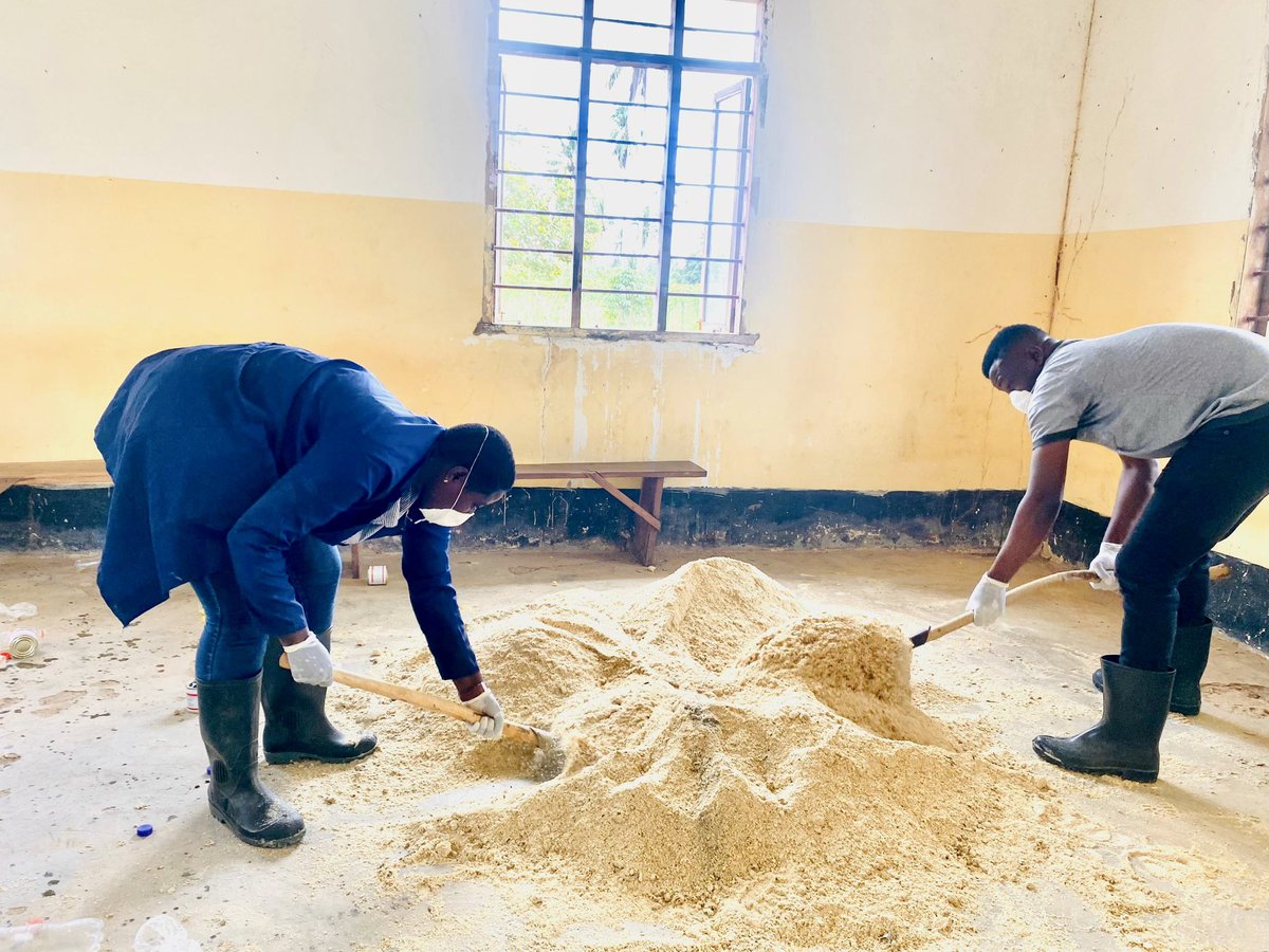TPHPA_Official's tweet photo. TPHPA yafika Kisarawe, Mkoani Pwani, kudhibiti baa la panya baada ya taarifa kutoka kwa Mkuu wa Wilaya, Mhe. Petro Magoti. Wakulima walipatiwa elimu na sumu za kuua panya, zilizotolewa bure. Zoezi hili linalenga kuboresha uzalishaji wa mazao na kuondoa kero hii kwa wakulima. https://t.co/5ztI4r3KMp