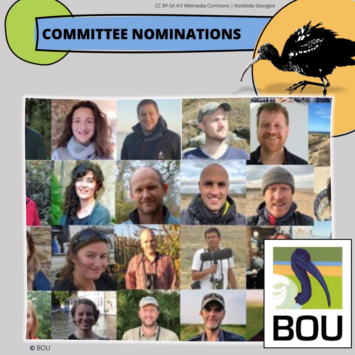 📢 BOU COMMITTEE NOMINATIONS OPEN

We are seeking nominations for:

➡️ Engagement Committee
➡️ Grants Committee
➡️ IBIS Management Committee
➡️ Meetings Committee 

Nominate: bou.org.uk/about-the-bou/…

Read about our committees: bou.org.uk/about-the-bou/…

#ornithology