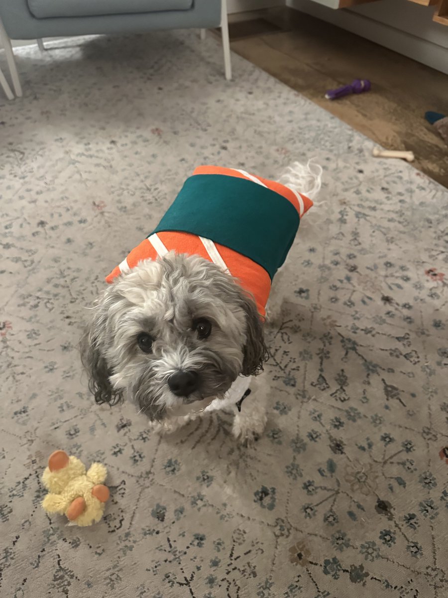 Maggie (she/her) tweet media