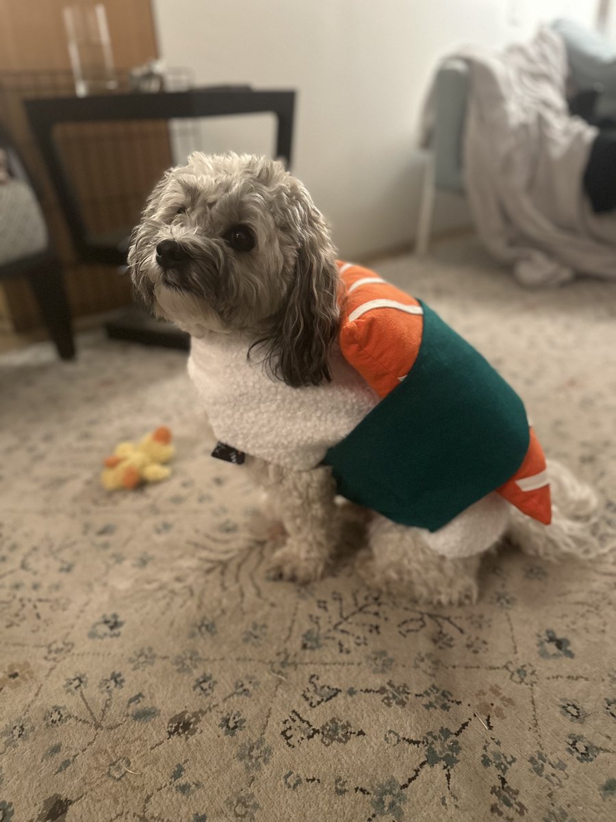 Maggie (she/her) tweet media