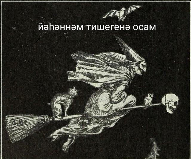 bashkortmem's tweet image. 