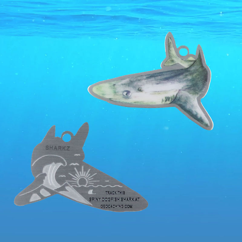 landsharkz's tweet photo. Exciting news, everyone! Introducing our Shark Tags 🦈, following the success of our Whale Tags 🐋! These four awesome Pacific coast sharks were watercolour painted by our designer Monique 🌊 .
Buy them for just $7.99 each, or grab all four for $27.99! https://t.co/VBH7OJzp6s https://t.co/FaodQOGdDt