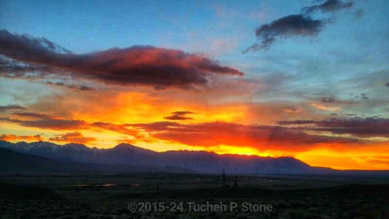 FrostedDibs's tweet photo. A classic #SierraSunset for #FlashbackFriday
===
#SunsetPorn #MountTom #MtTom #BishopCityPark #BishopCA #VisitBishop #InyoCounty #VisitInyoCounty #OwensValley #Highway395 #Highway6 #Highway168 #Paiute #Payahuunadu #EasternCalifornia #SierraNevada #EasternSierra #EasternSierras https://t.co/ibmNVZ5FJo
