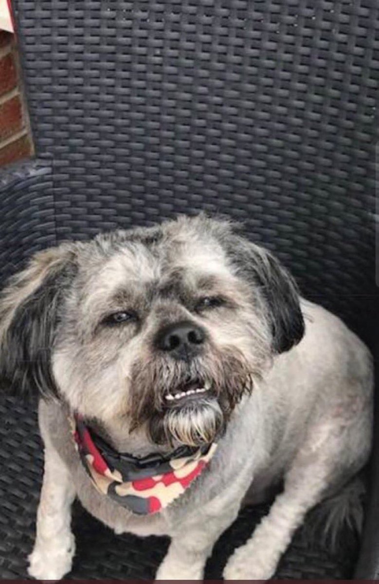 🇨🇺🇻🇪🇵🇸Jonnie/Yang🇵🇸🇻🇪🇨🇺 tweet media