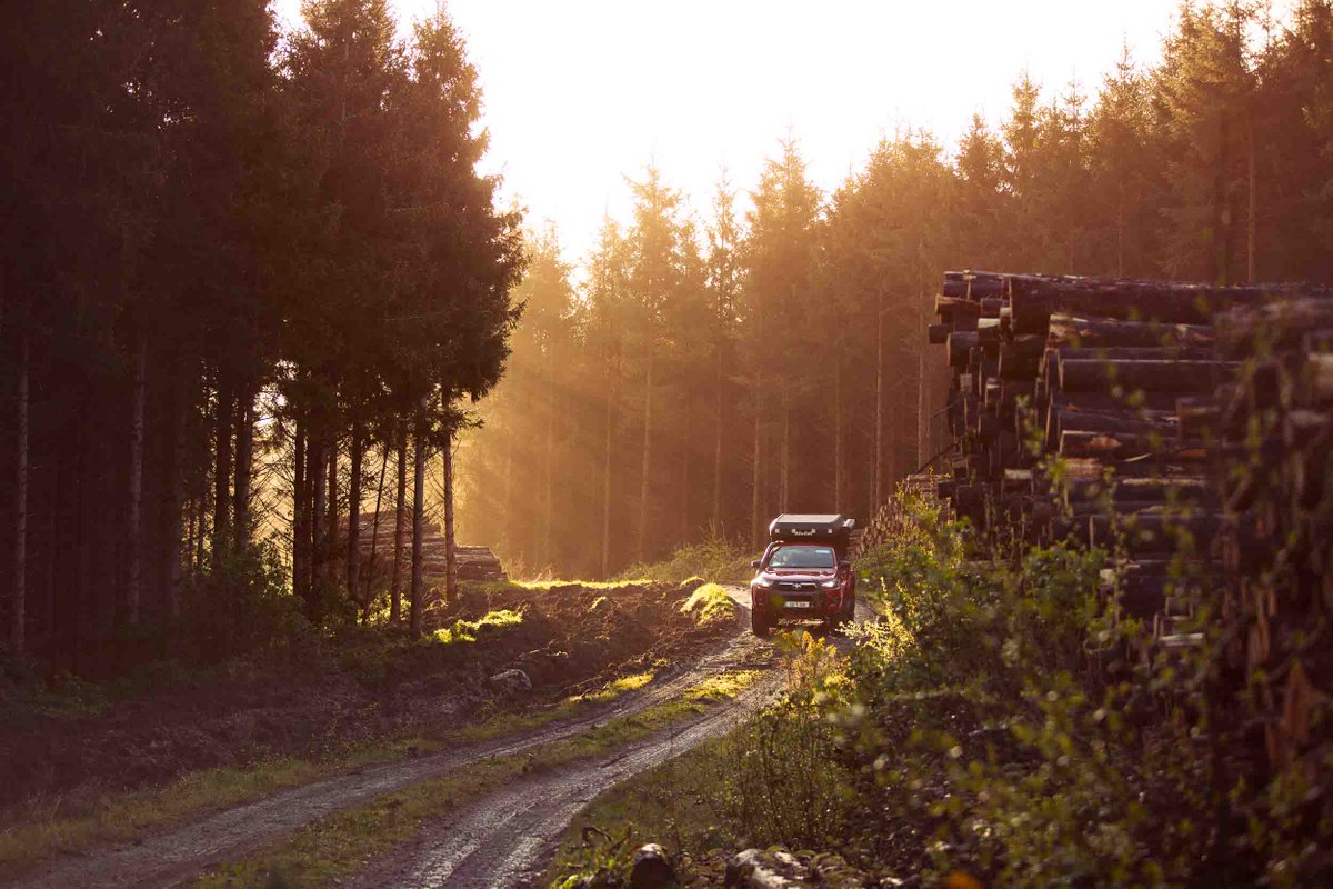 Denis Vahey Photo tweet media