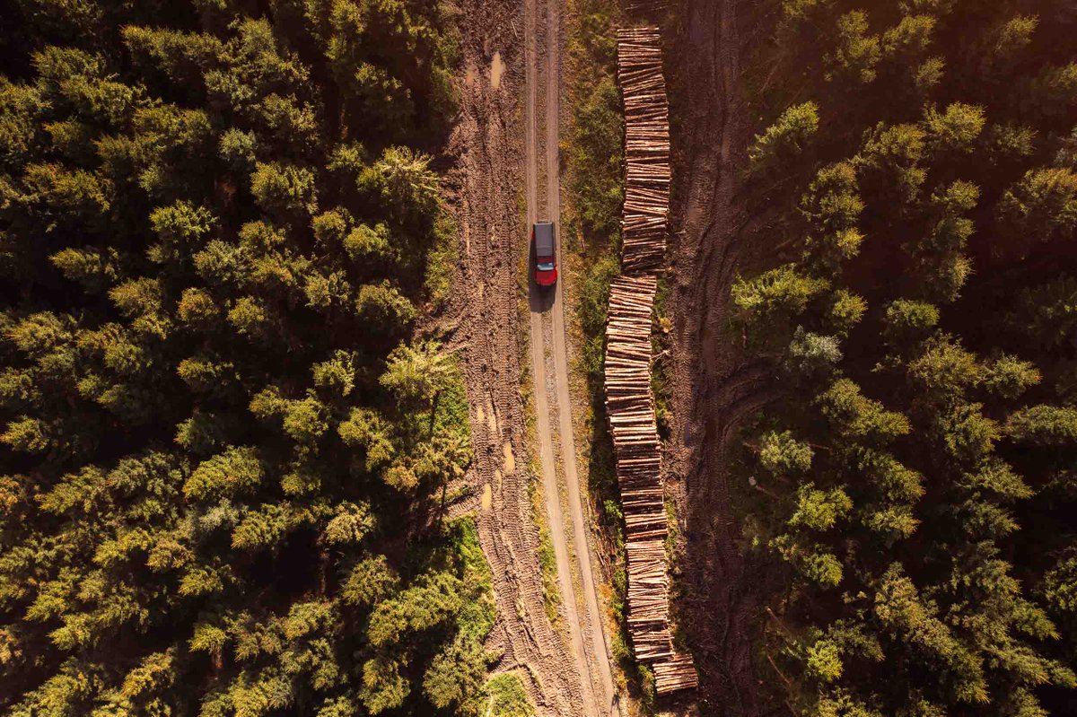 Denis Vahey Photo tweet media