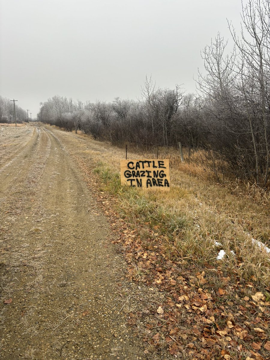 Opening morning of hunting season, hopefully 2024 hunters are respectful and know what they are shooting at and what is behind their target