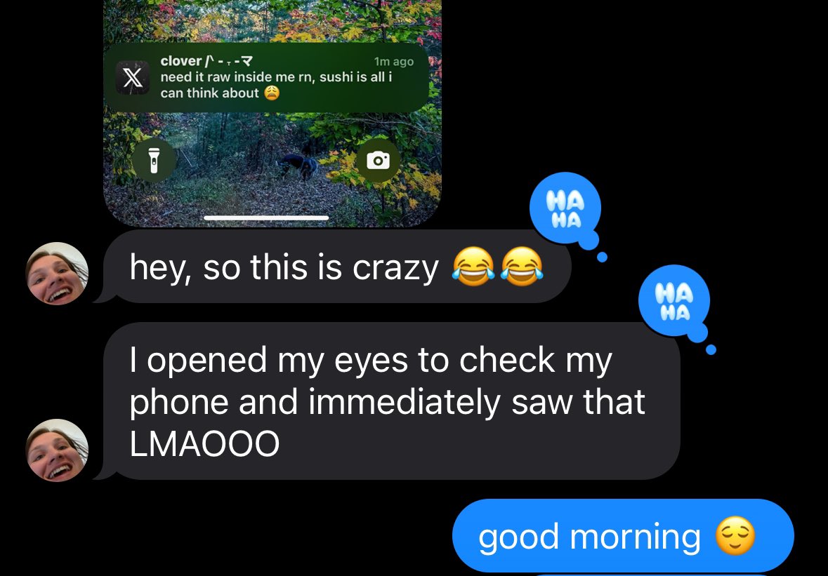 clover /ᐠ - ˕ -マ tweet media