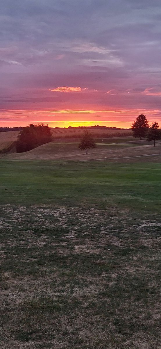 6Traffman's tweet photo. @allthedogspleaz Sunset https://t.co/0QF8e1TiX6