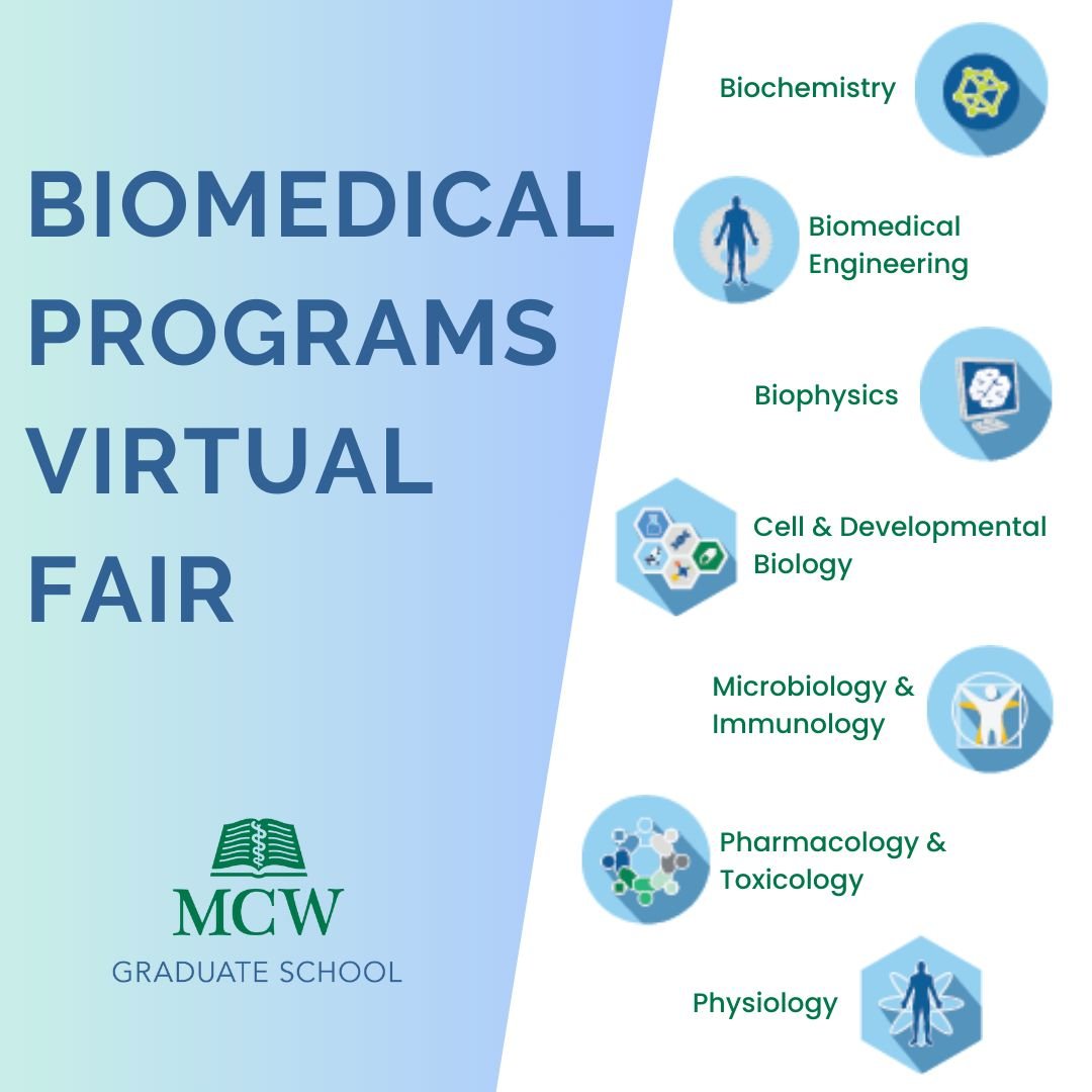 MU_MCW_BME's tweet photo. Want to learn more about what makes our #Graduate programs exceptional? Join the Joint Department on Tuesday, Nov. 12 for our annual #Biomedical programs #VirtualFair! @MUEngineering https://t.co/2xWrV8EV5a