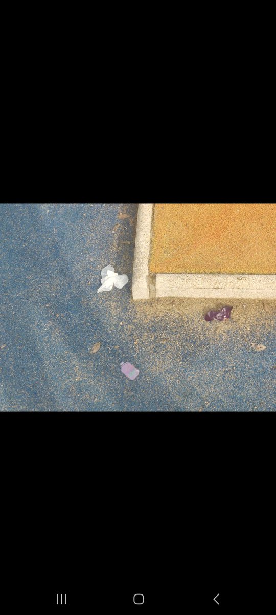 rosaledacanina's tweet photo. Señor @jlsanzalcalde @Ayto_Sevilla Así cuidan el Parque de la Rosaleda todos los incívicos a los que les habéis dado la razón quitándonos la zona de esparcimiento canino por tres veces. Nosotros éramos los únicos que cuidábamos y manteníamos nuestro zona siempre limpia. https://t.co/mnA5VxzohH