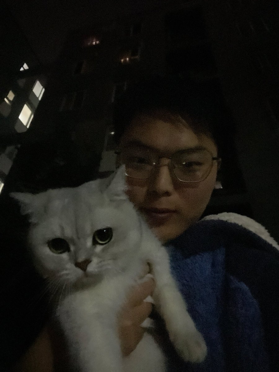 dataosir7's tweet image. Have a wonderful life my little cat