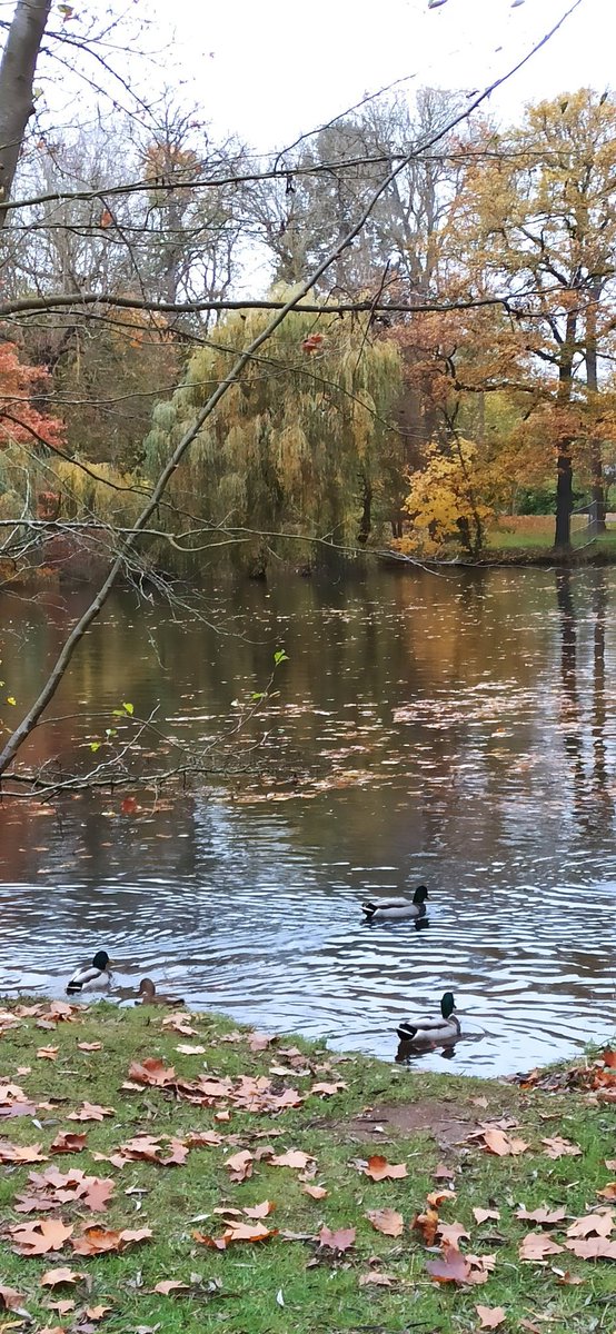 Unterwegs 😊🍄‍🟫🍁