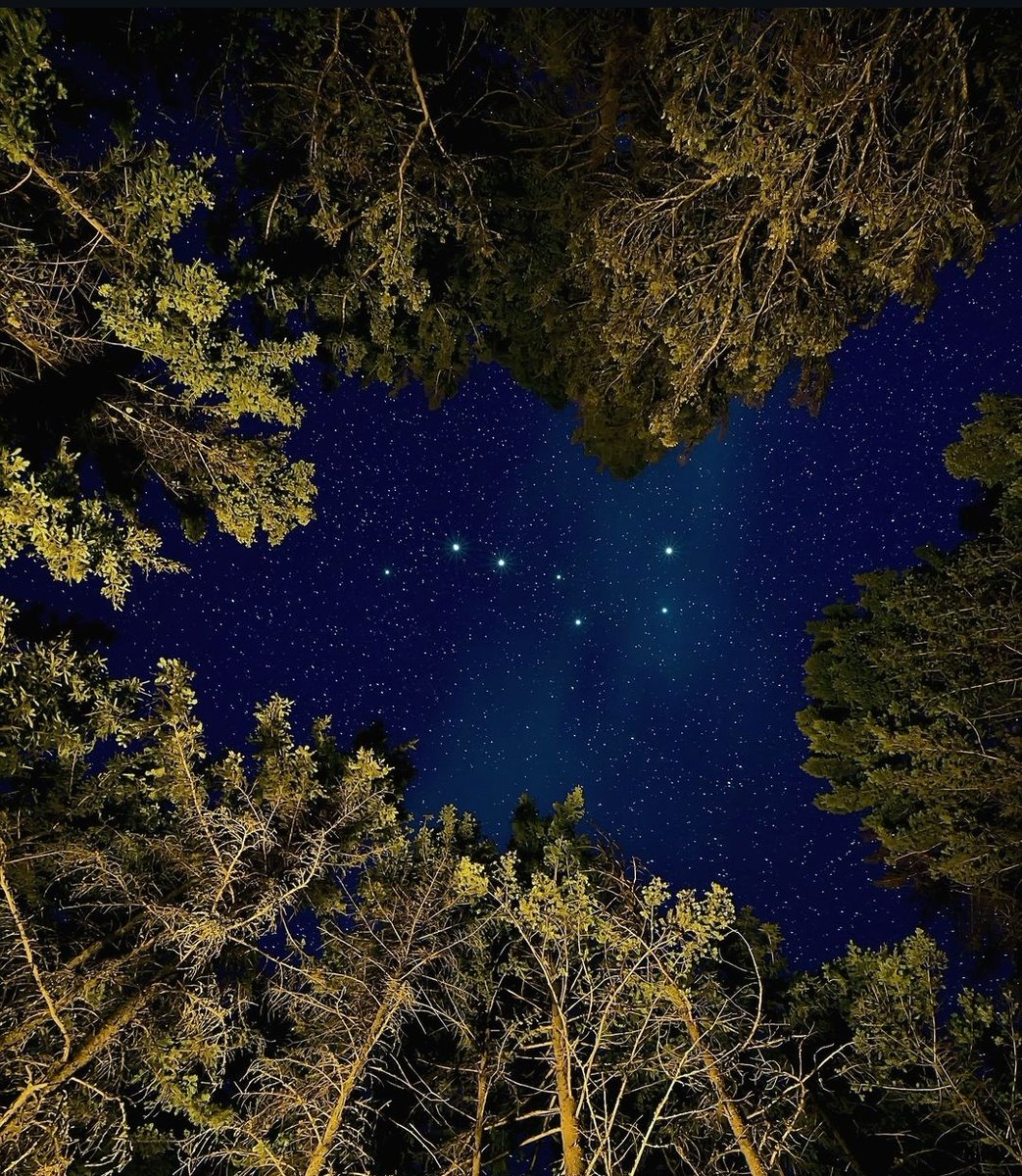 spacxlover's tweet photo. https://t.co/CWMcHOjTxF