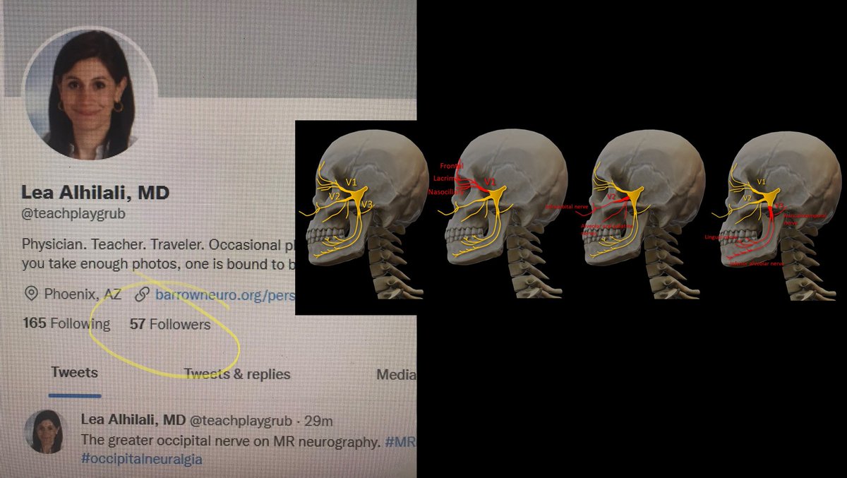 Just over 2 yrs ago today, after 3 days on Twitter, I told my husband I had maxed out w/57 followers by forcing everyone I knew on Twitter to follow  

Then I posted my educational content &amp; everything changed.  2 yrs later I have 60k followers.  Thanks to all who supported me!