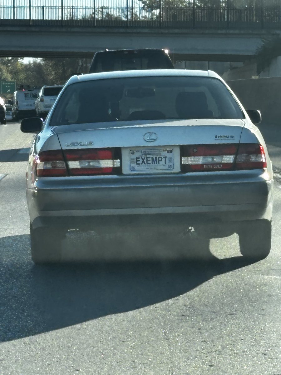 Matt ⚜️ tweet media