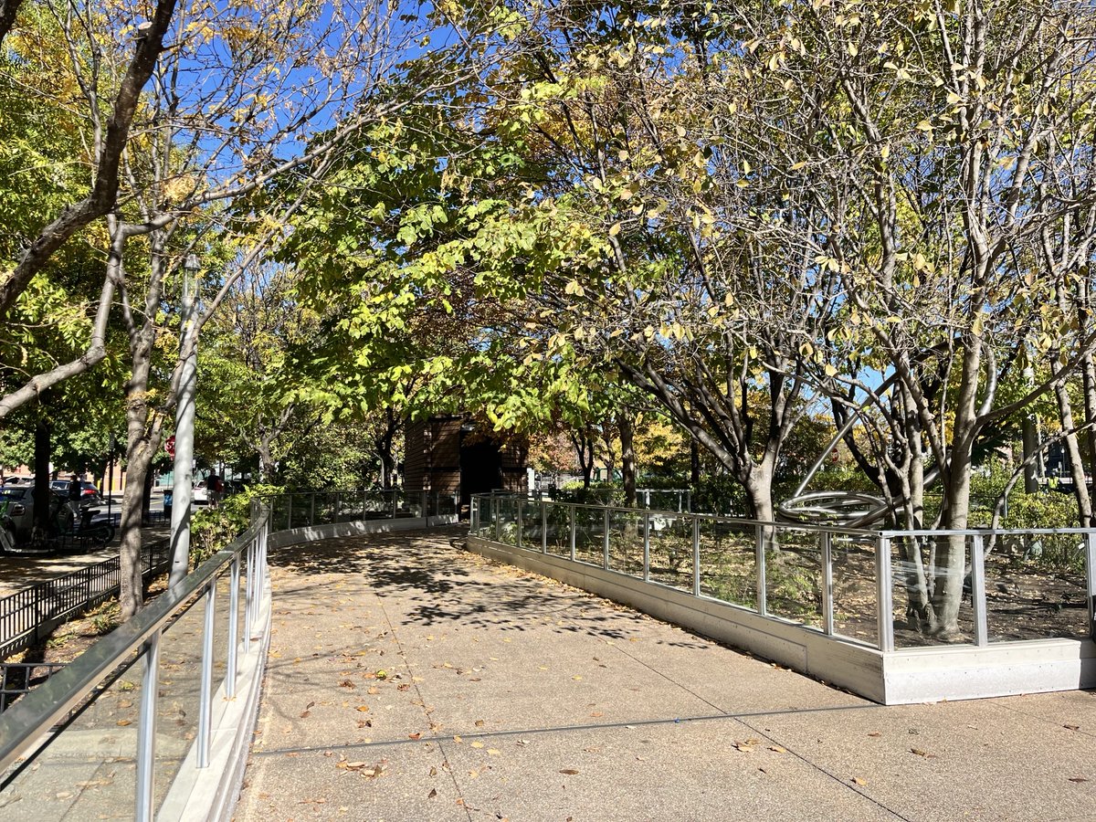 MSE Foundation tweet media