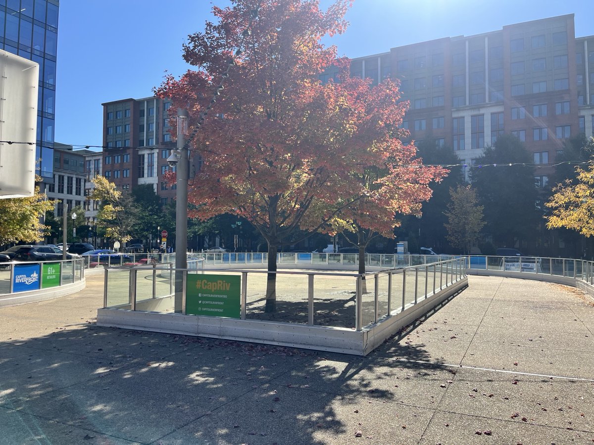 MSE Foundation tweet media