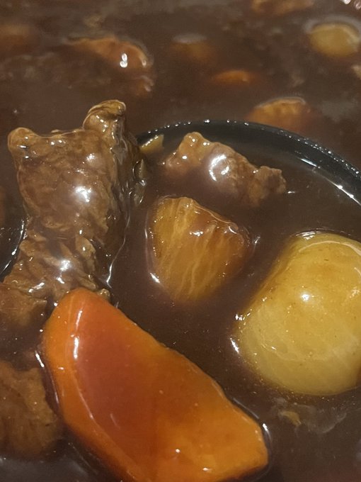 今夜はビーフシチューよ!🐂 