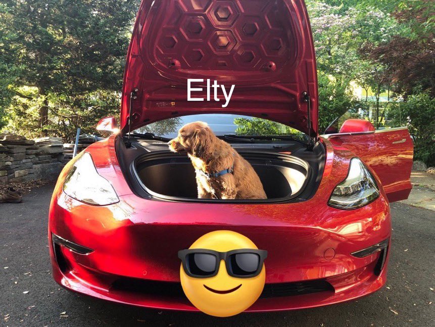 Earl of FrunkPuppy tweet media