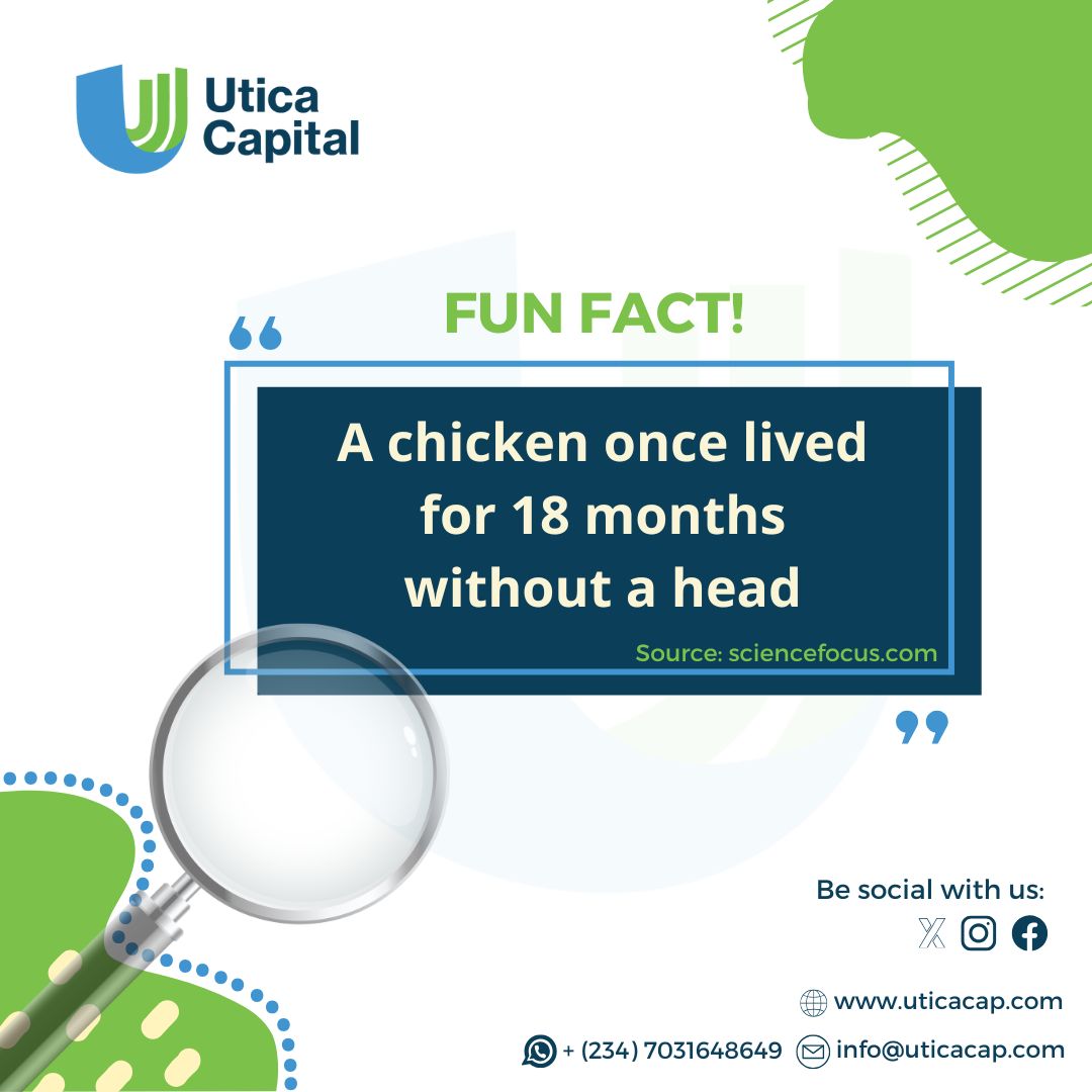 UticaCap's tweet photo. Did you know? 🐔 In 1945, a chicken named Mike lived for 18 months without a head! 🤯
He became a sensation, even touring the U.S. and inspiring thousands! 💪🐓 Talk about being one tough bird!"
#FunFactFriday #BelieveItOrNot #HeadlessChicken #HistoryBytes https://t.co/Eq5XHRYu3G