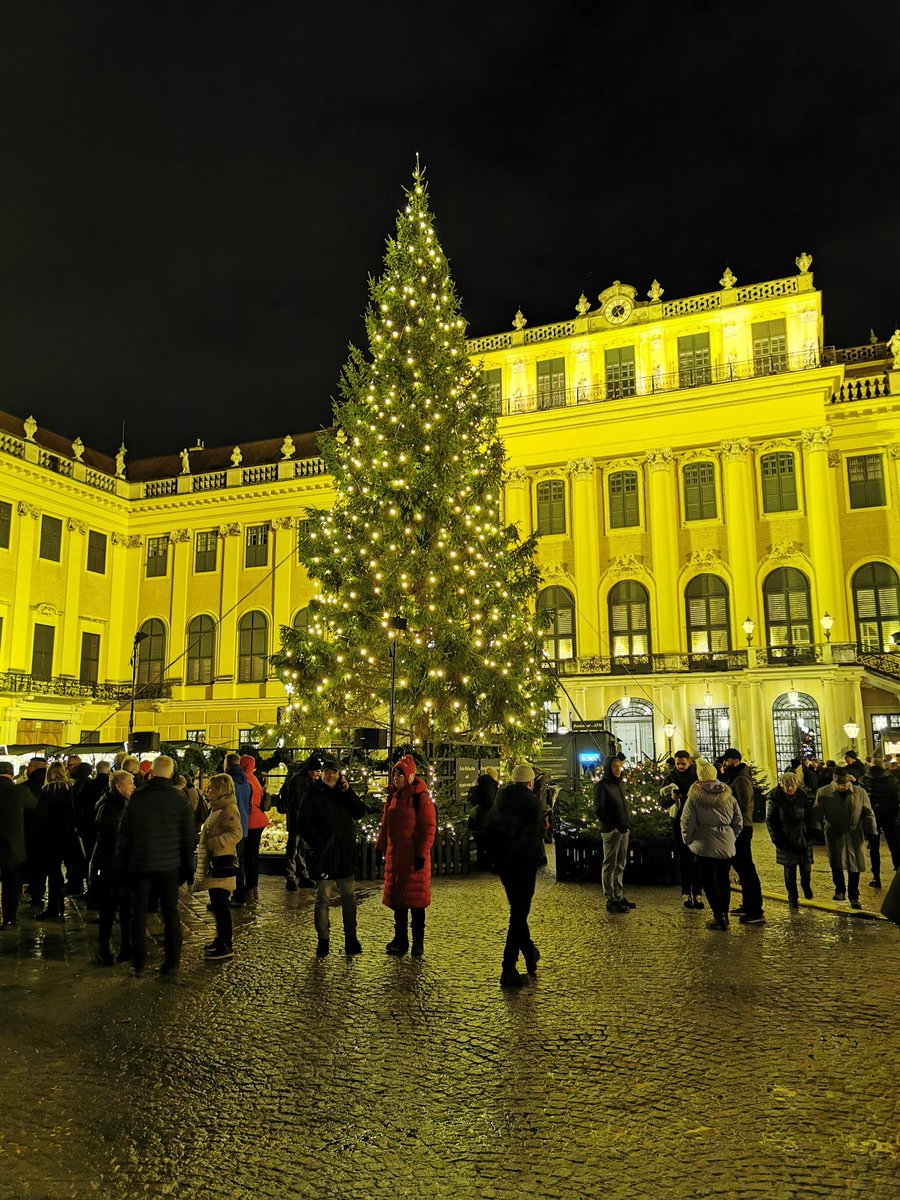 Schon einen Städtetrip im Dezember geplant? #wien sollte dabei nicht auf Deiner Lister der funkelnden #Weihnachtsmarkt fehlen. Ich war letztes Jahr dort ⬇️ ms-welltravel.de/europa/wien-we…