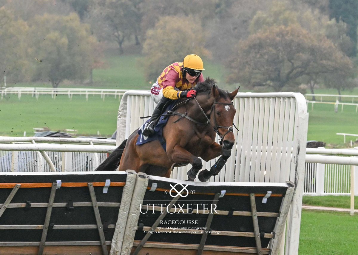 DavidPipeRacing's tweet photo. Stunning hurdling debut from Walkadina @UttoxeterRaces under super front running ride from @tommy_bells #excitingfuture π₯#24 https://t.co/h04EaQABu6