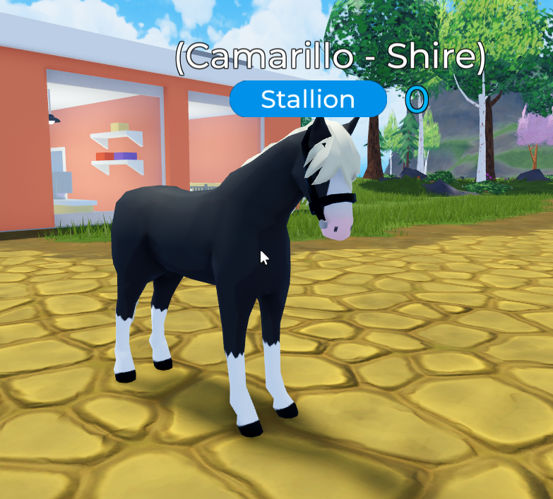 Horse Valley tweet media