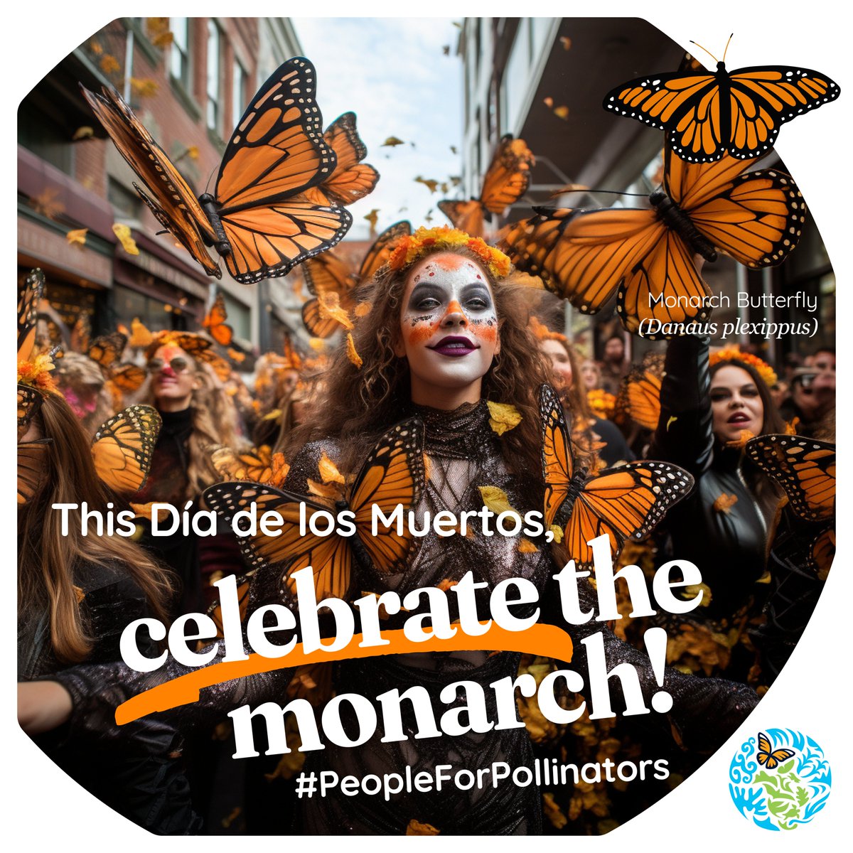 🦋 Monarch butterflies are special to many, and are vital #pollinators

💀 Among some Mexican communities such as the Purépechas, monarchs are a big part of celebrations like #DíaDeMuertos

🙌 Let's celebrate our pollinators: 
👉cec.org/people-for-pol…

💚 #PeopleForPollinators